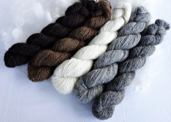 Dégradé de laine filée islandaise – naturelle. 1045-1046-1047-1048-1049