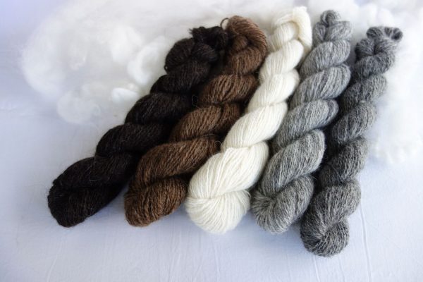 Dégradé de laine filée islandaise – naturelle. 1045-1046-1047-1048-1049
