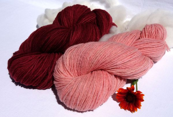 1097-1098 Laine d'agneau des près salés, Normandie. Teinture lac-dye. Produit Français.