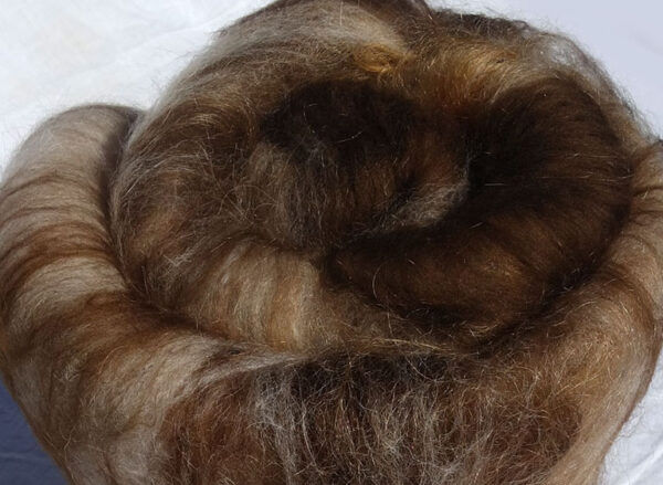 Nappe cardée falkland, mérinos, mohair, alpaga, soie 2316