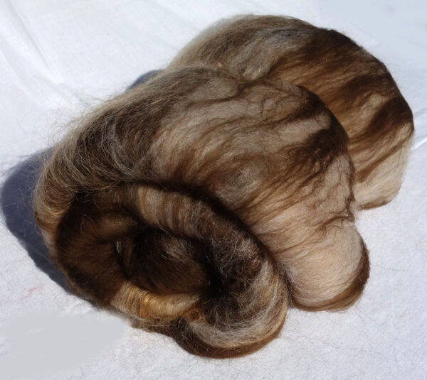 Nappe cardée falkland, mérinos, mohair, alpaga, soie 2316