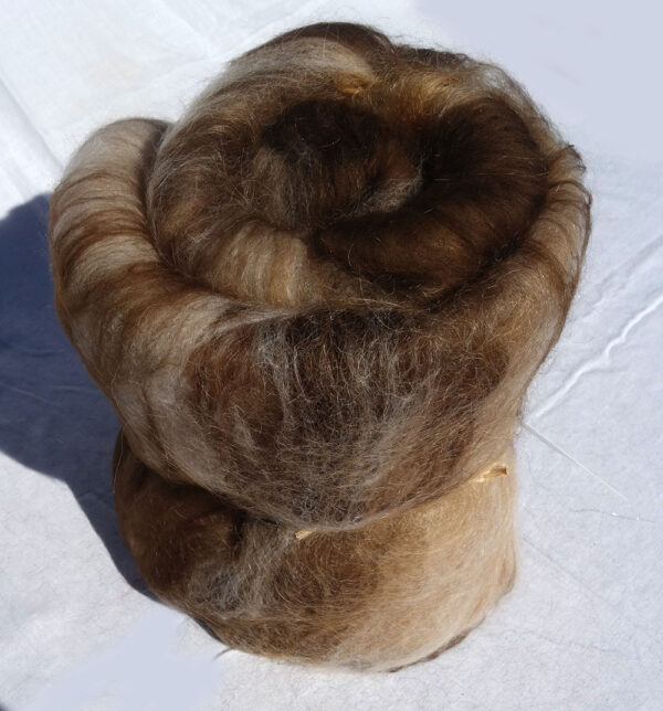 Nappe cardée falkland, mérinos, mohair, alpaga, soie 2316